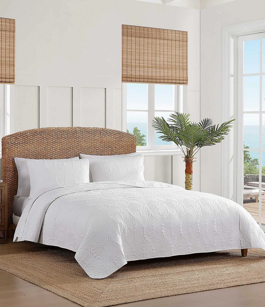 Tommy Bahama Line Palm Cotton Reversible Quilt Mini Set