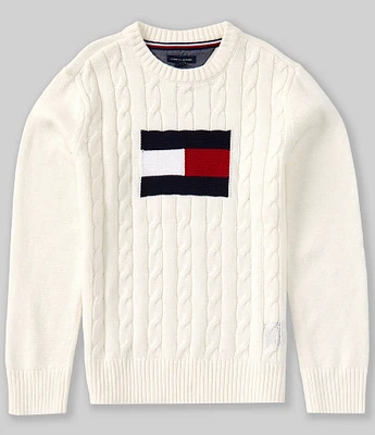 Tommy Hilfiger Big Boys 8-20 Long-Sleeve Intarsia-Flag-Logo Cable-Knit Sweater