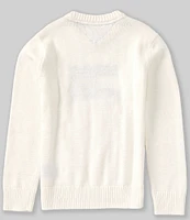 Tommy Hilfiger Big Boys 8-20 Long-Sleeve Intarsia-Flag-Logo Cable-Knit Sweater