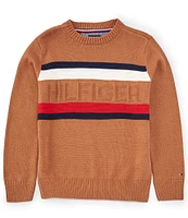 Tommy Hilfiger Big Boys 8-20 Long Sleeve Ottoman-Stripe Textured-Knit Sweater