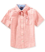 Under Armour Little Boys 2T-7 Town Pool Short Sleeve UPF 50 T-Shirt & Volley Shorts Set
