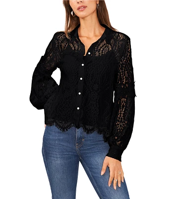 Vince Camuto Point Collar Long Bishop Sleeve Scalloped Hem Embroidered Lace Button Front Blouse