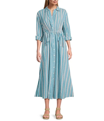 Westbound Button Front Point Collar Long Sleeve Seersucker Cinch Front A-Line Maxi Dress