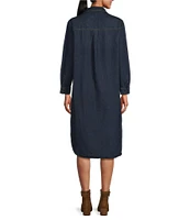 Westbound Long Sleeve Button Front Denim Dress