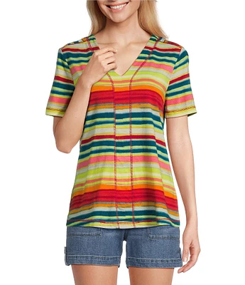 Westbound Petite Size Shimmering Stripe Short Sleeve V-Neck Top