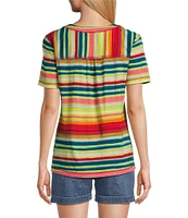 Westbound Petite Size Shimmering Stripe Short Sleeve V-Neck Top