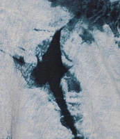 Westbound Plus Size Shibori Storm Short Sleeve Crew Neck Top