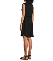 Westbound Sleeveless Crew Neck Tie Front Drop Waist Dress