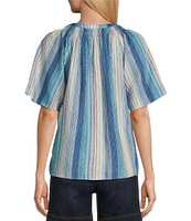 Westbound Stripe Woven Short Sleeve Y-Neck Button Front Top