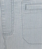 Westbound the HIGH RISE fit Crop Pull-On Stripe Pants