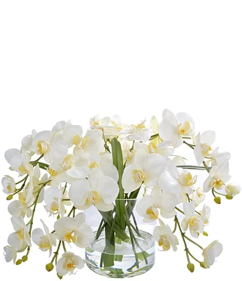 Winward Faux Flowers Orchid Phalaenopsis In Glass Vase