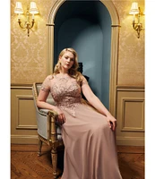 Xscape Plus Size Illusion Boat Neck Embroidered Sequin Bodice Chiffon Gown
