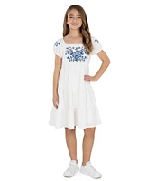 Xtraordinary Big Girls 7-16 Floral Embroidered Knee Length Dress