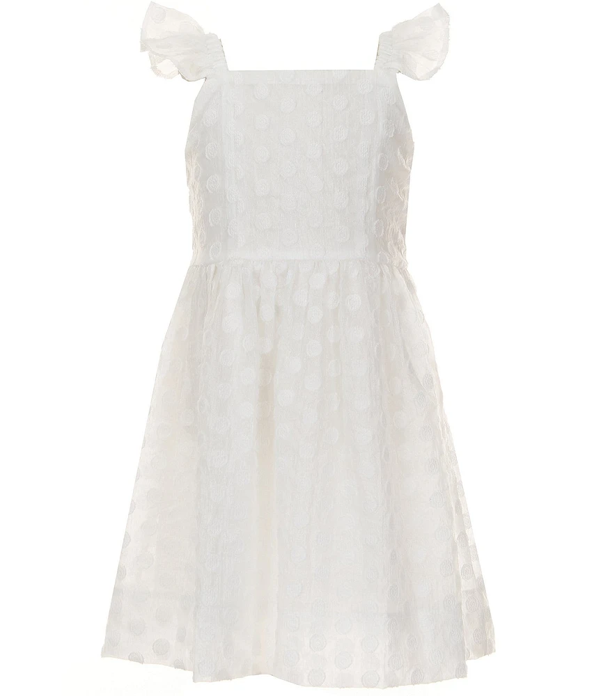Xtraordinary Little Girls 4-6X Flutter-Sleeve Clip-Dot Organza Fit-And-Flare Dress