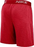 Nike Men's Boston Red Sox Authentic Collection Shorts