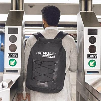 ICEMULE Pro Large 23L Backpack Cooler