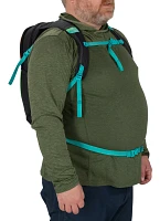 Osprey Bears Ears Daylite Pack