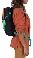 Osprey Bears Ears Daylite Pack