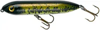 Heddon Super Spook Jr. Saltwater Topwater Hard Bait