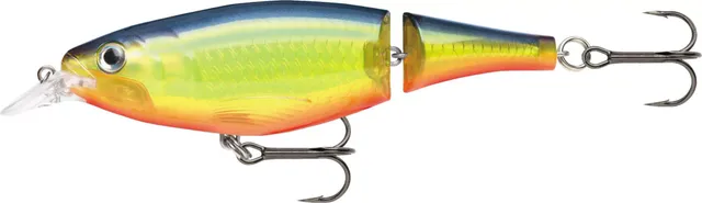 Dick's Sporting Goods Rapala X-Rap Jointed Shad Hard Bait