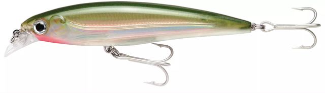 Rapala Saltwater X-Rap Spotted Minnow; 3 1/8 in.