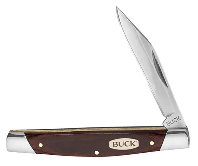 Buck Knives 379 Solo Knife