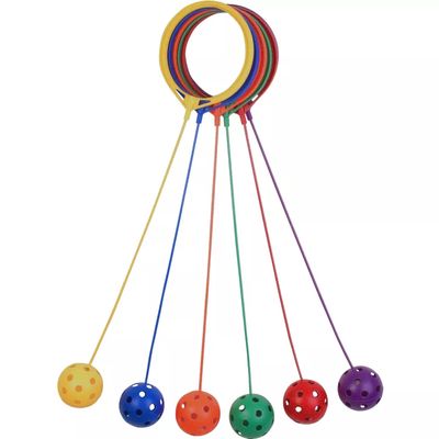 Champion Sports Swing Ball Set