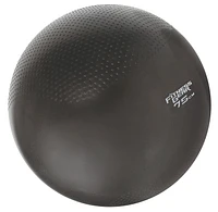 Fitness Gear Weighted Stability Ball