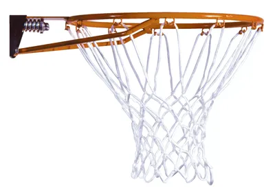 Lifetime Slam-It Basketball Rim