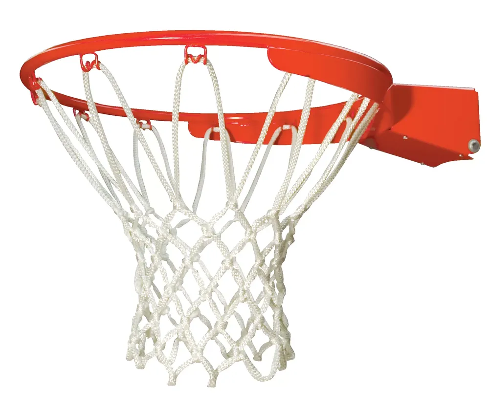 Lifetime Slam-It Pro Basketball Rim