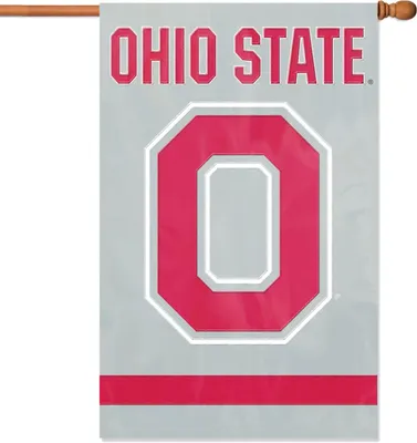 Party Animal Ohio State Buckeyes Applique Banner Flag