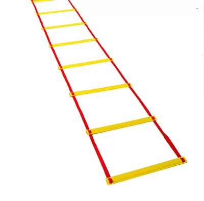 Tandem Volleyball Agility Ladder