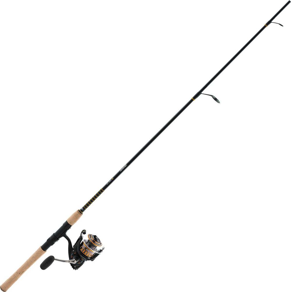 Daiwa BG Saltwater Inshore Systems Spinning Combo