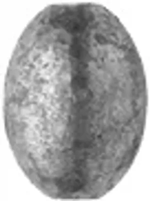 Eagle Claw Lead Egg Sinker