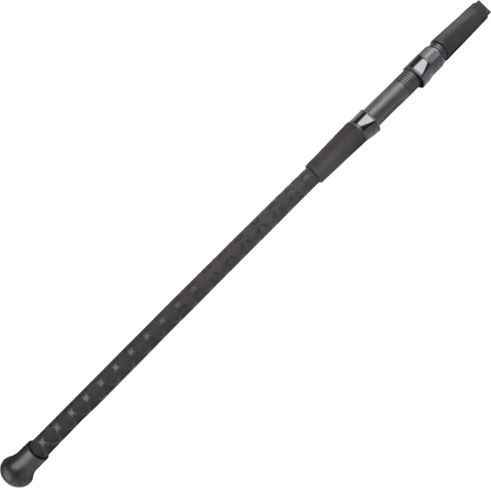 Lamiglas Insane Surf Spinning Rod