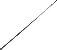 Lamiglas Insane Surf Spinning Rod