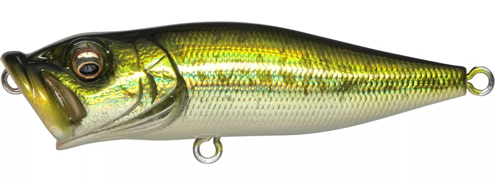 Dick's Sporting Goods Megabass POPX Topwater Lure