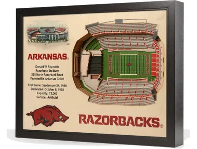 You the Fan Arkansas Razorbacks 25-Layer StadiumViews 3D Wall Art