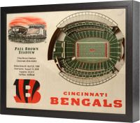 Cincinnati Bengals 25 Layer StadiumViews 3D Wall Art