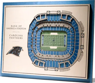 You the Fan Carolina Panthers 5-Layer StadiumViews 3D Wall Art