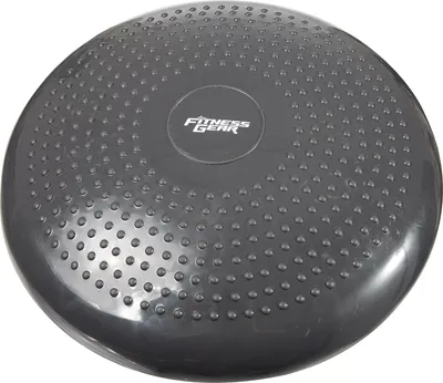 Fitness Gear Stability Disc