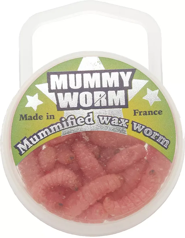 MUMMY WORM - HOW IS THAT POSSIBLE? 