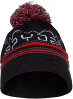 Spyder Boy's Icebox Beanie