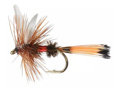 Perfect Hatch Royal Coachman Dry Fly