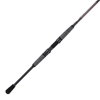 PENN Prevail Inshore II Spinning Rod