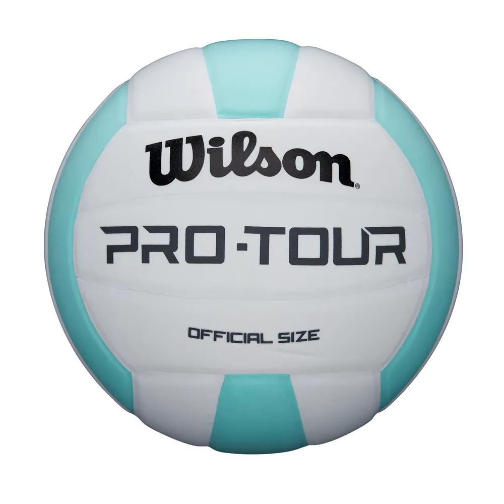 Wilson Pro Tour Indoor Volleyball