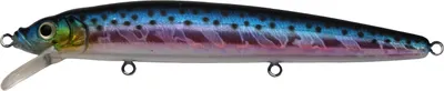 Challenger Minnow Hard Bait