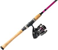 Daiwa Lady Samurai Spinning Combo