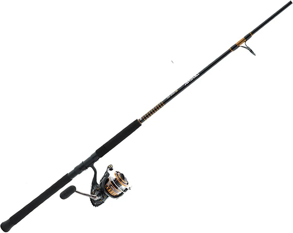 Daiwa BG Saltwater Spinning Combo