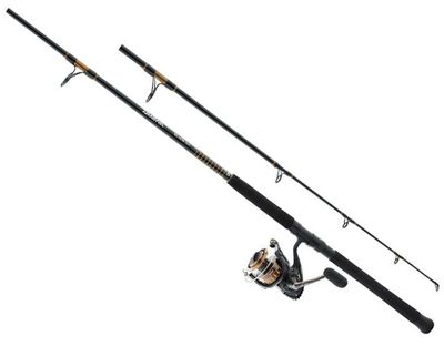 Daiwa BG Inshore Spinning Combo